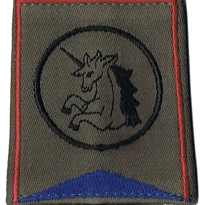 Passant d'épaule du Groupe d'Escadrons 1er Régiment de Chasseurs - 2ème Escadron (V1)