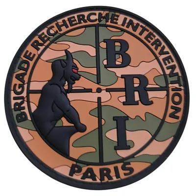 BRI-PP - Camouflage Centre-Europe