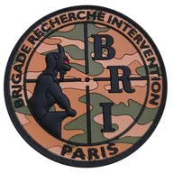 BRI-PP - Camouflage Centre-Europe