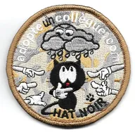 Chat Noir - Adopte un collégue . Com