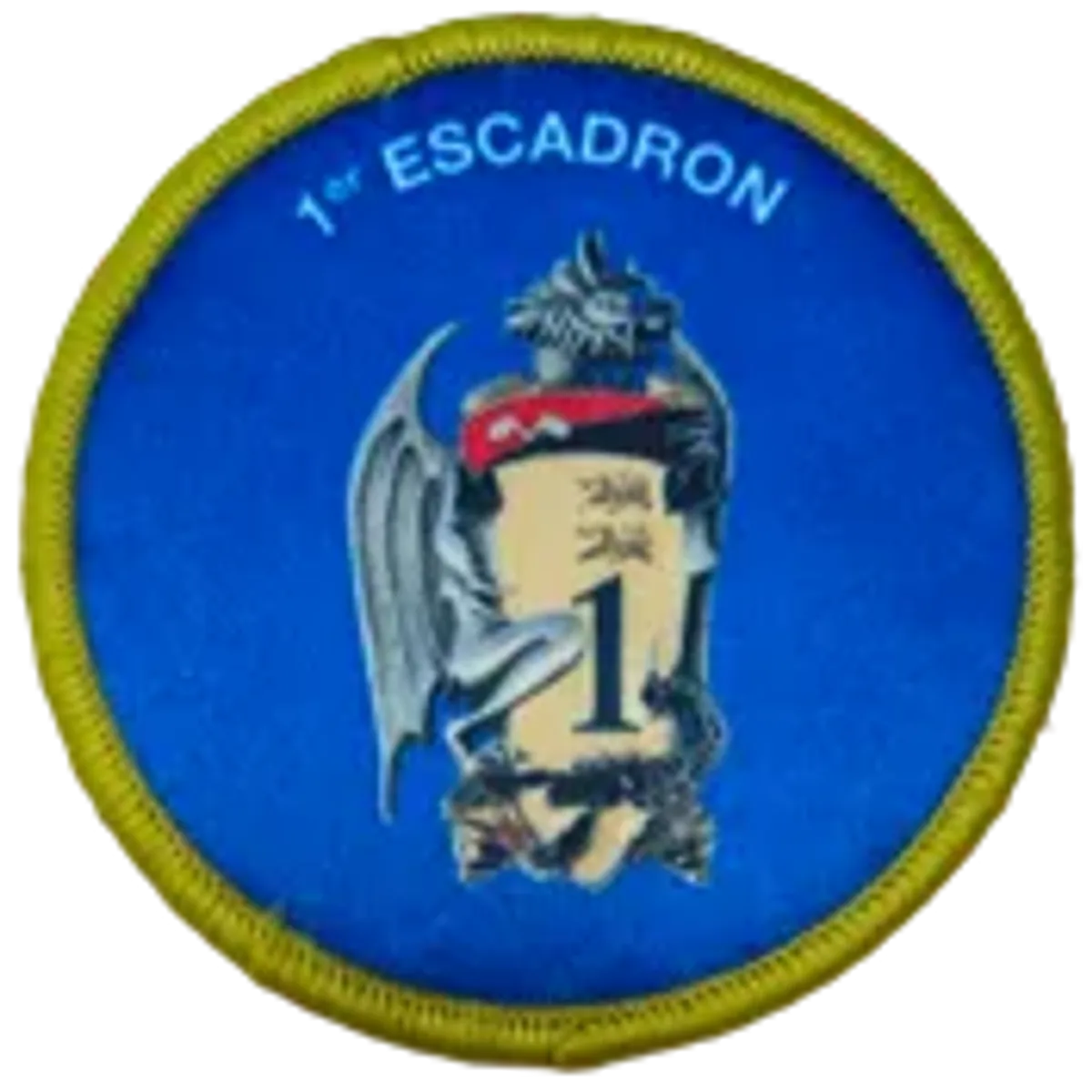 2ème Régiment de Dragons NRBC -1ier Escadron - Ecusson de tenue de sport rénovée (TSR)