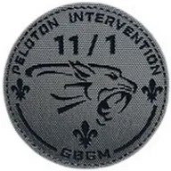 PI EGM 11/1 Satory GBM