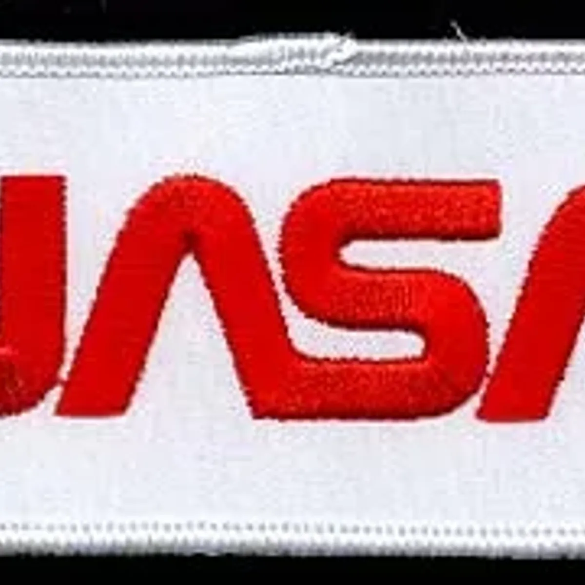 NASA Worm