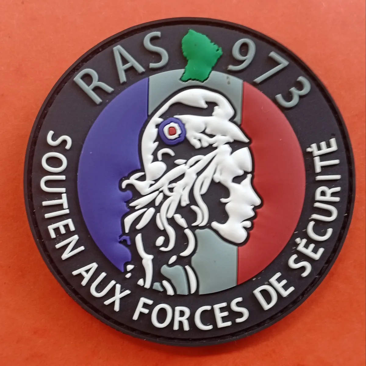 RAS 973 - Soutien aux forces de Sécurité -