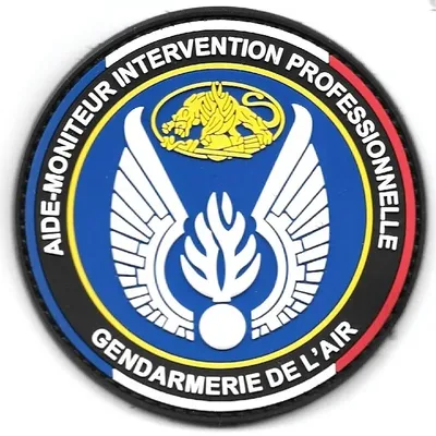 GAE - Aide-Moniteur Intervention Professionnelle 