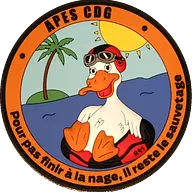 Charles de Gaulle - APES