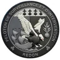 PSIG - Redon
