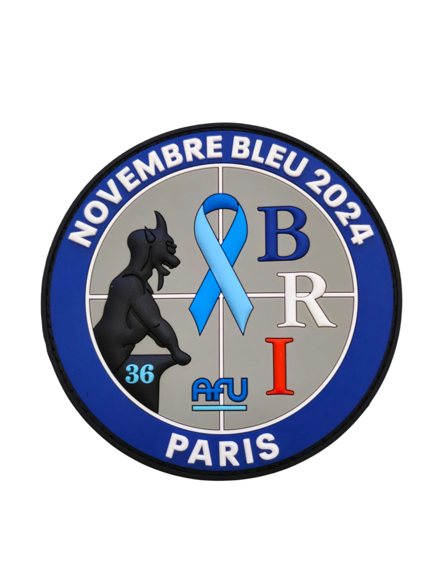 BRI PP - November Bleu 2024