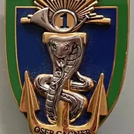 1er Régiment de Chasseurs