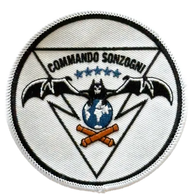 GCP 35ème RAP - Commando Sonzogni