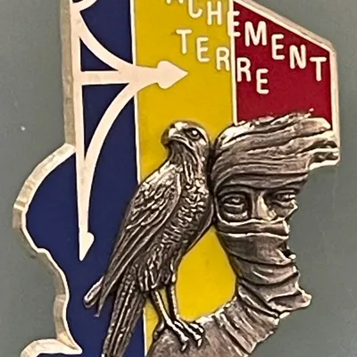 Opération Epervier, Détacehement Terre