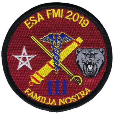 SSA : ESA Lyon Bron FMI 2019