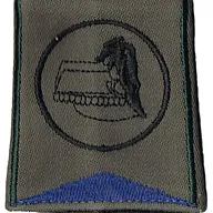 Passant d'épaule du Groupe d'Escadrons 1er Régiment de Chasseurs - 3ème Escadron (V1)