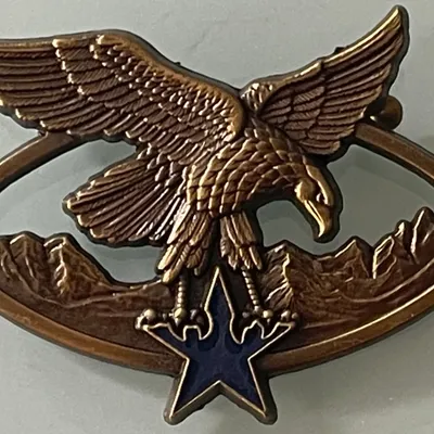 Brevet Spécialité Troupes de Montagne, Bronze