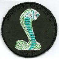 CPA 30 - MRS 37