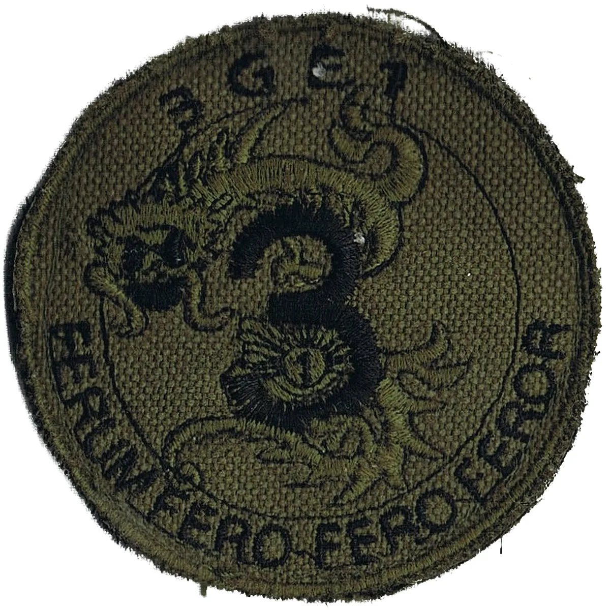 Groupe d'escadrons 1er Régiment de Chasseurs - 3ème Escadron (BV)