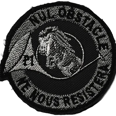 1er Régiment de Chasseurs - 3ème Escadron - 1er Peloton
