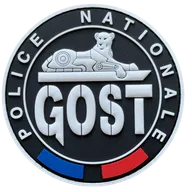 RAID - GOST