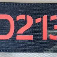 13e RDP - 2e escadron D213