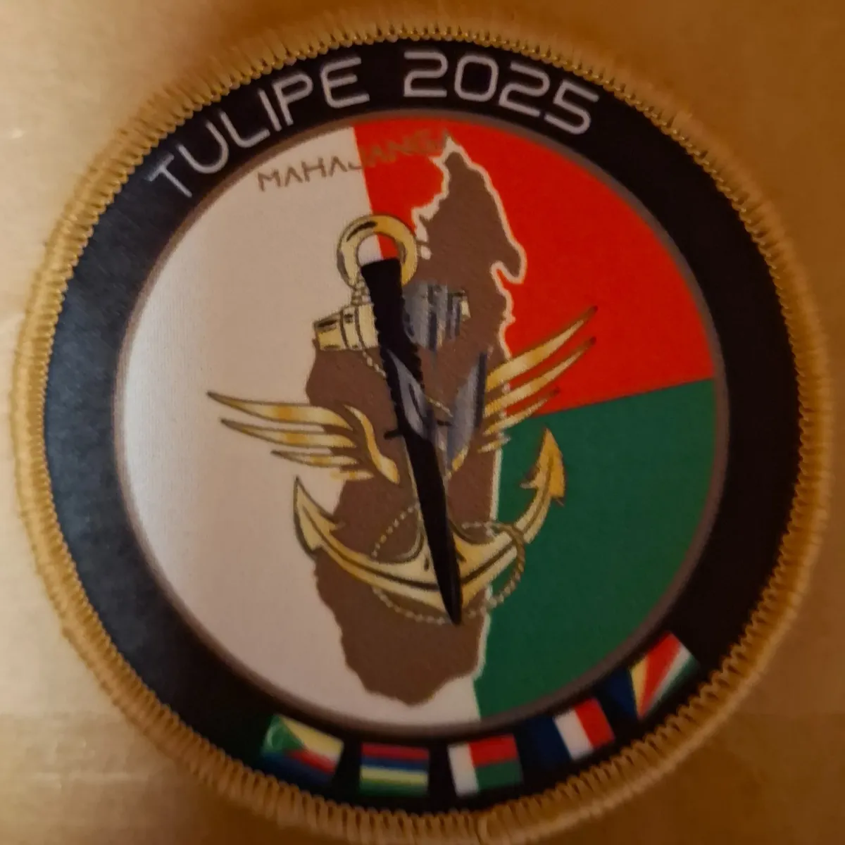 Exercice Tulipe 2025