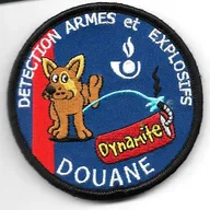 Douane -  Détection Armes et explosifs (humoristique) -chien marron