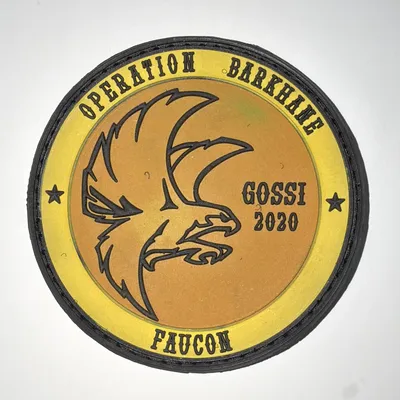 2ème Régiment de Hussards, Opération Barkhane, détachement Faucon