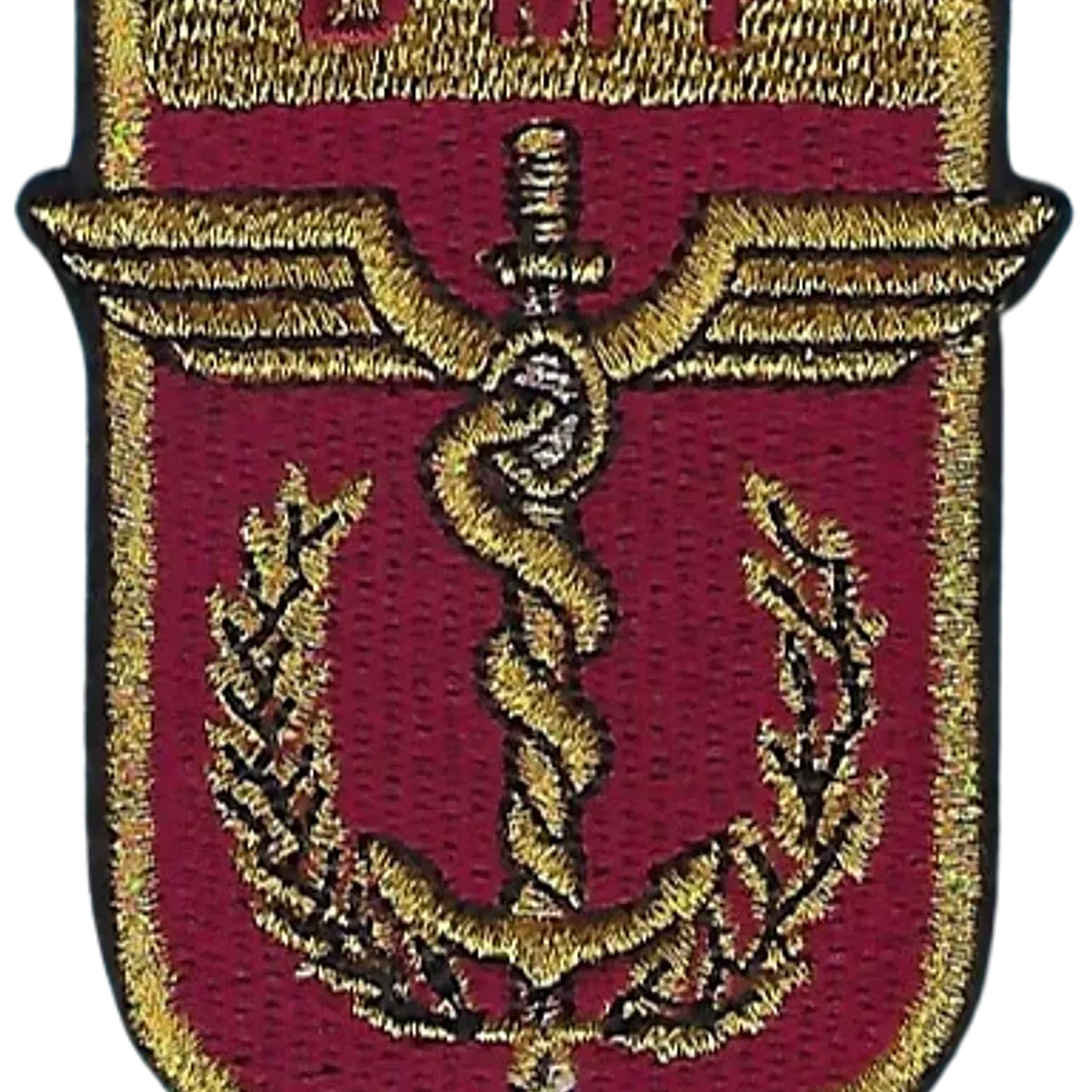 SSA : Direction de la Médecine des Forces DMF