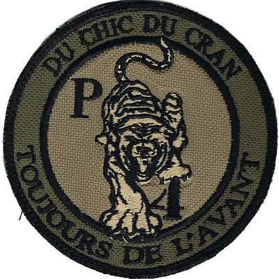1er Régiment de Chasseurs - 2ème Escadron - 4ème Peloton (BV)