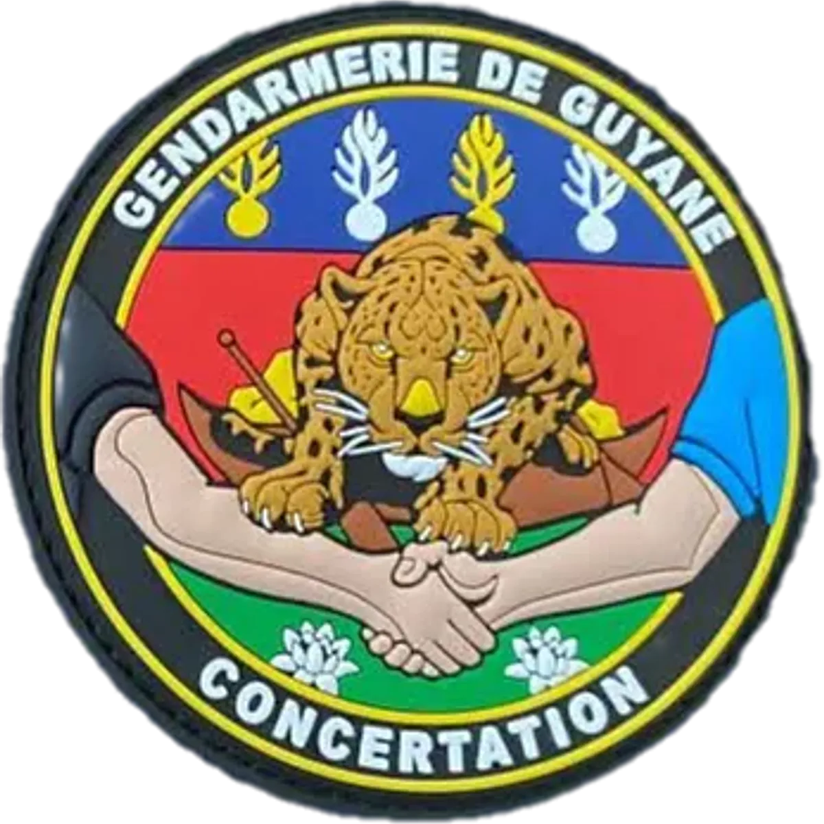 Concertation Guyane Gendarmerie