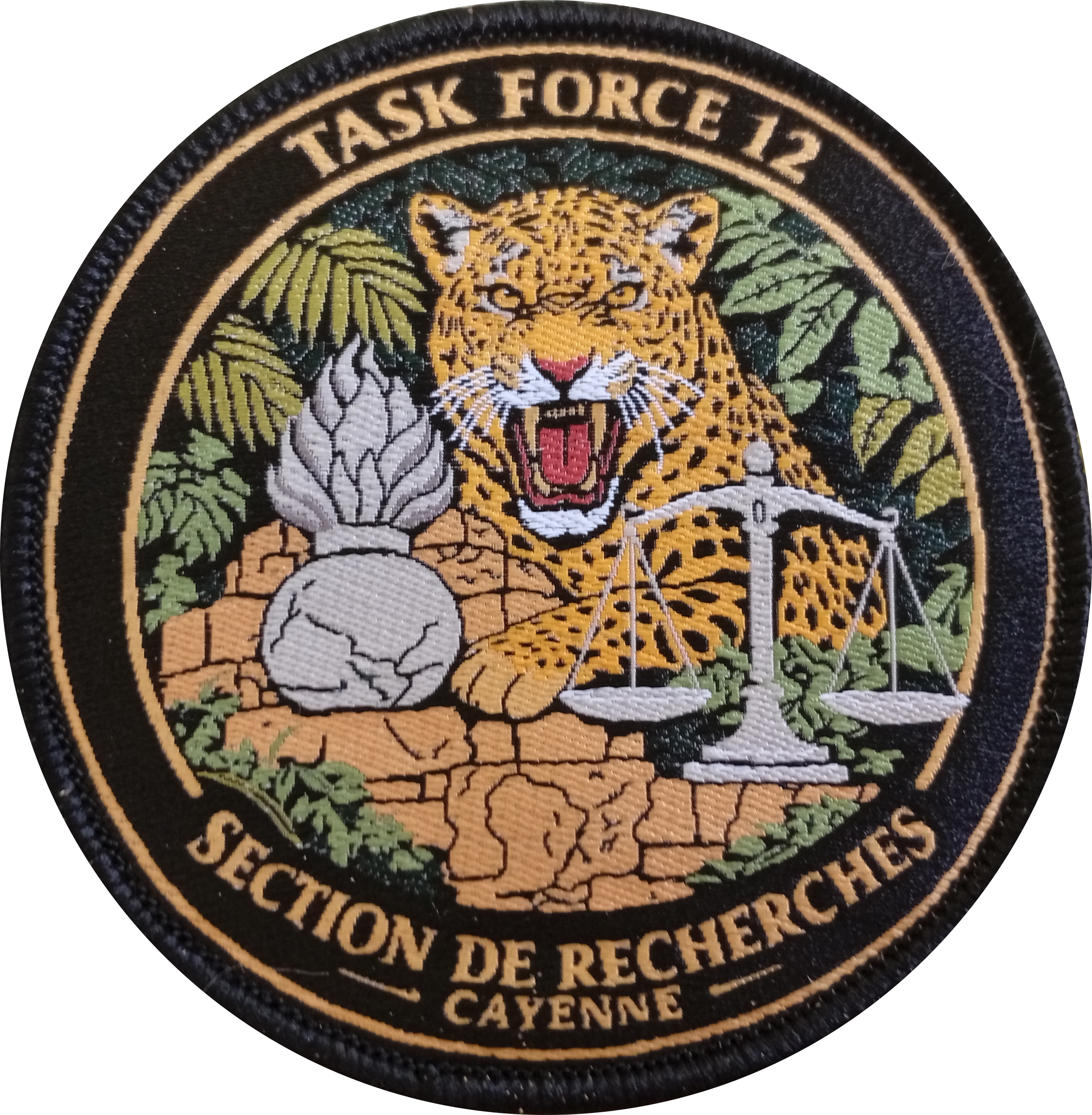 SR-  Cayenne - Task Force 12 