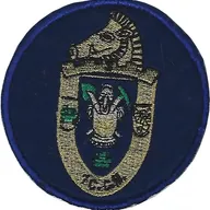 3e Régiment du Génie - 1er Compagnie de combat 