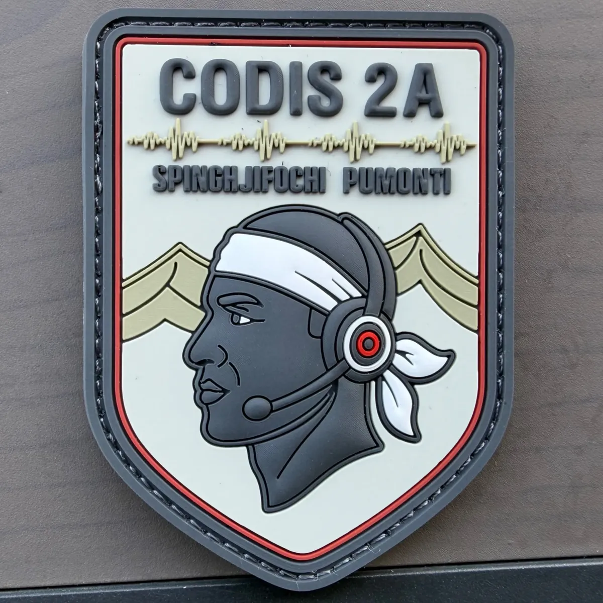 CODIS 2A