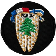 5ème Régiment de Dragons - F.I.N.U.L. II - Opération Daman XXXIV - Force Commander Reserve