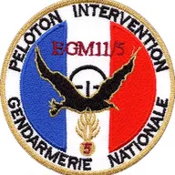 PI EGM 11/5 Lyon