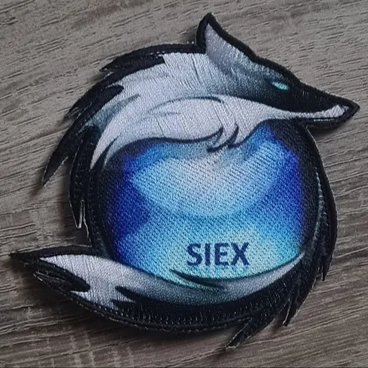 40e RT / 1ere Cie / SIEX