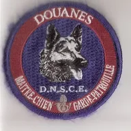 Douanes - Maître de chien de la DNSCE