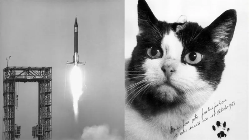 Félicette chat spatial souvenir – 2