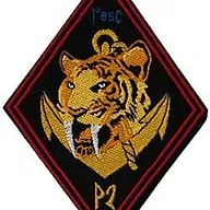 1er Régiment d'Infanterie de Marine - 1er Escadron - 2ème Peloton