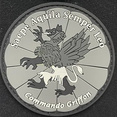 13e RDP - 3ème Escadron - Commando Griffon