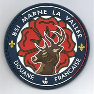 BSI - Marne-la-Vallée