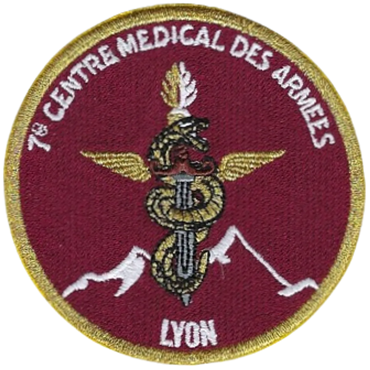SSA : CMA Lyon (7ème CMA) Type II