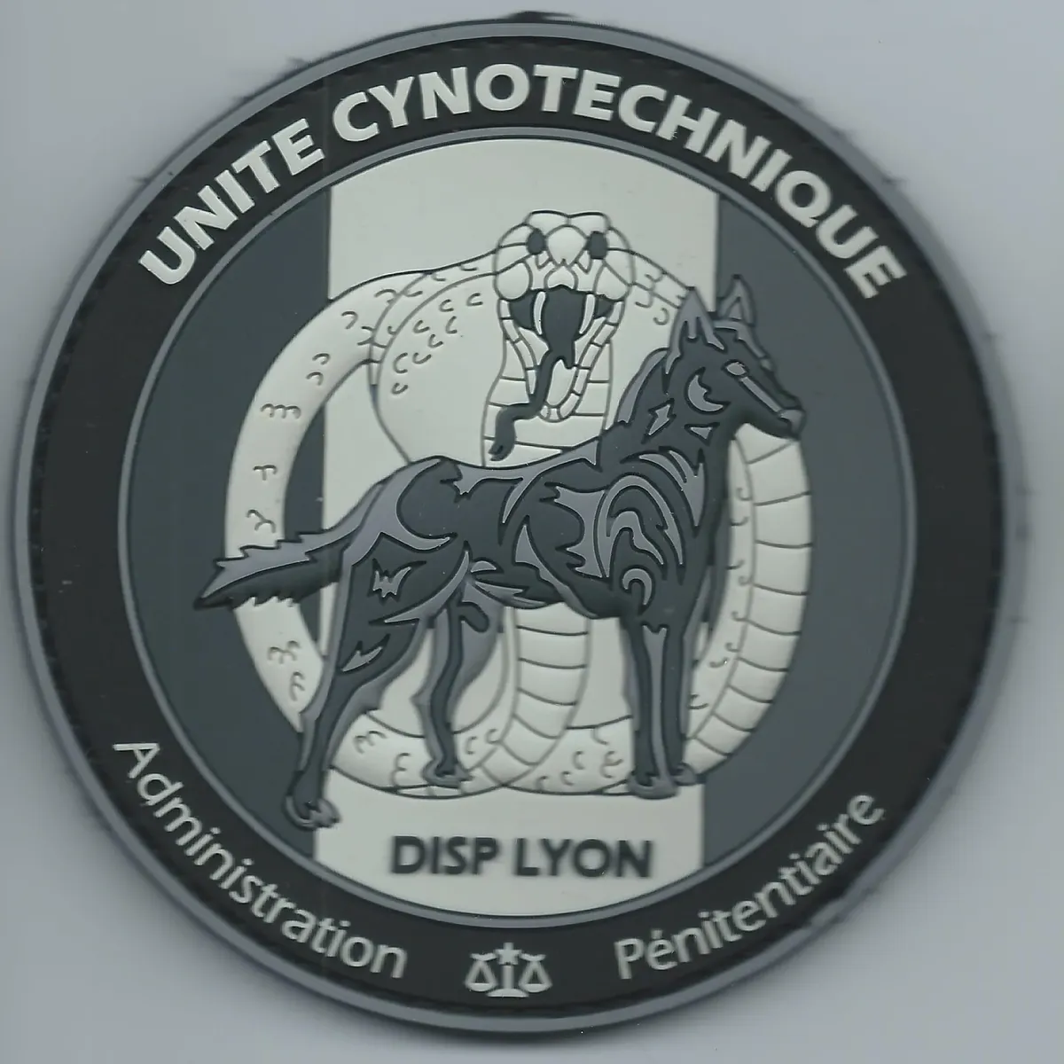 Cynotechnie pénitentiaire - DISP - Lyon