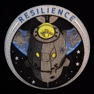 Dragon Resilience - 1