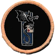 2ème Régiment de Dragons NRBC - Ecusson de tenue de sport rénovée (TSR)