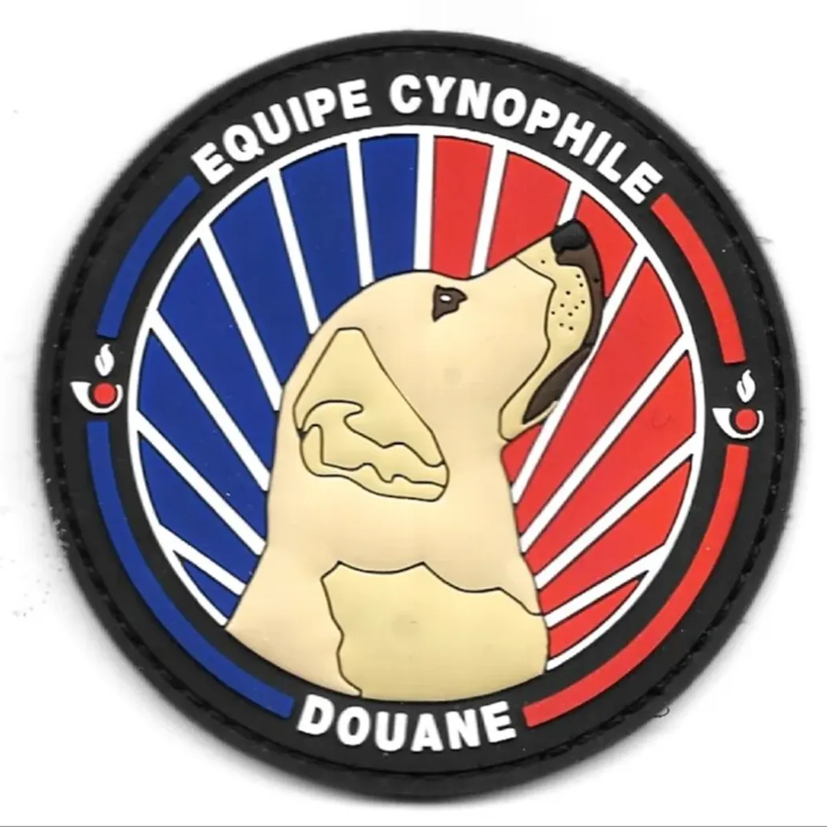 Douane - équipe cynophile  - Labrador Beige 