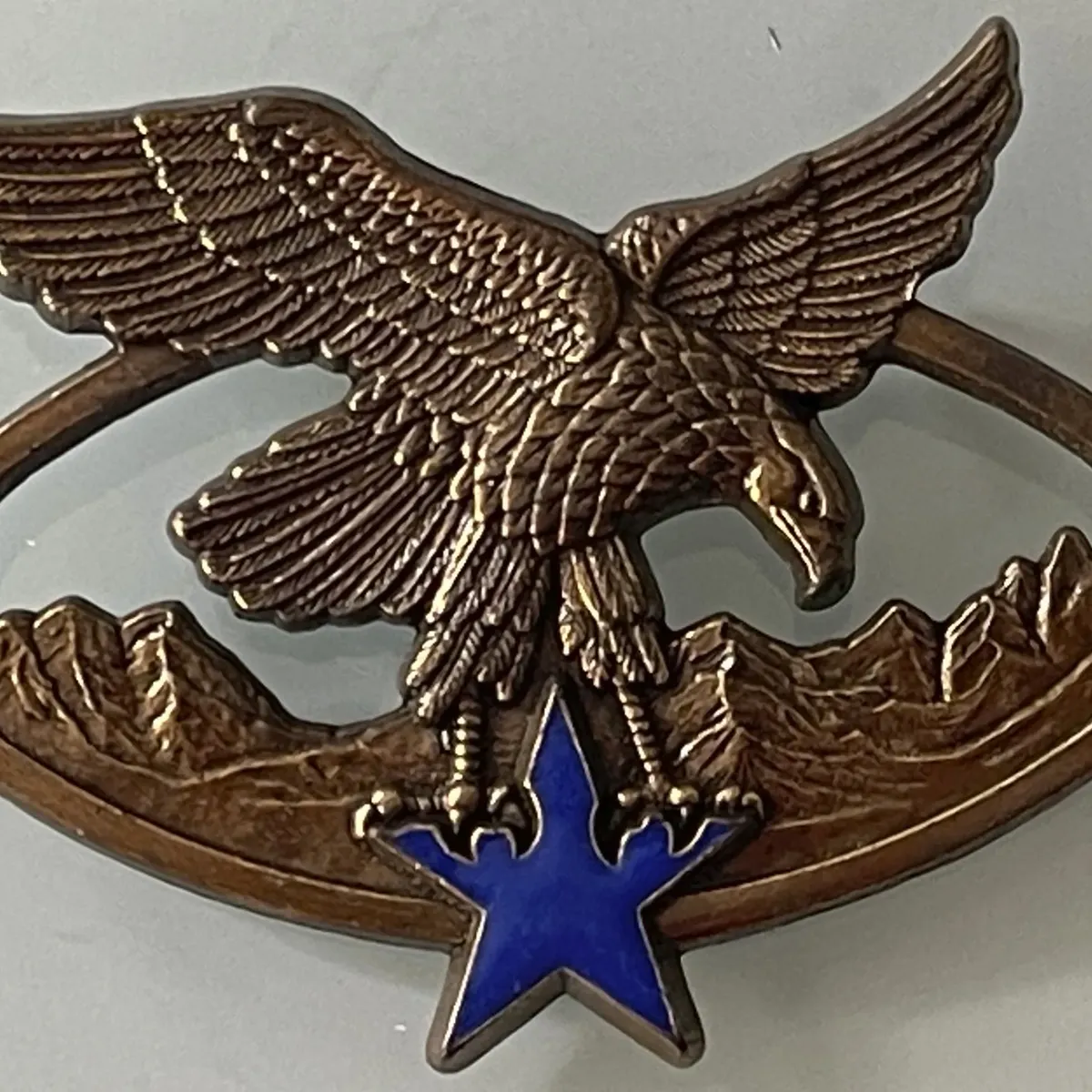 Brevet Spécialité Troupes de Montagne, Bronze