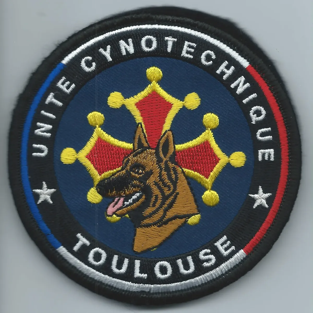 Cynotechnie pénitentiaire - Toulouse