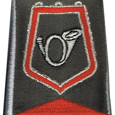 Passant d'épaule du Groupe d'Escadrons 2ème Régiment de Chasseurs - Escadron de Commandement et de Logistique (V2)