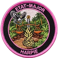 Etat-Major HARPIE - Octobre rose