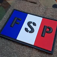 FSP GIGN